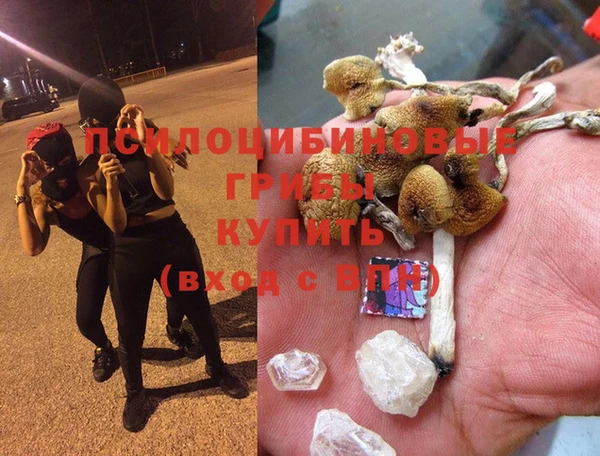 круглые Алзамай