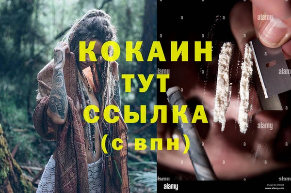 ГАЛЛЮЦИНОГЕННЫЕ ГРИБЫ Алексеевка
